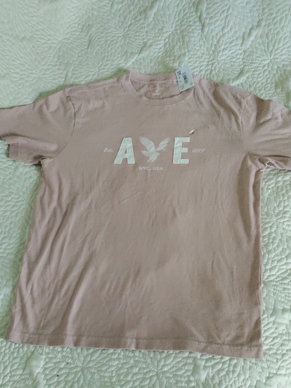 American Eagle Men's Slub T-shirt Small
